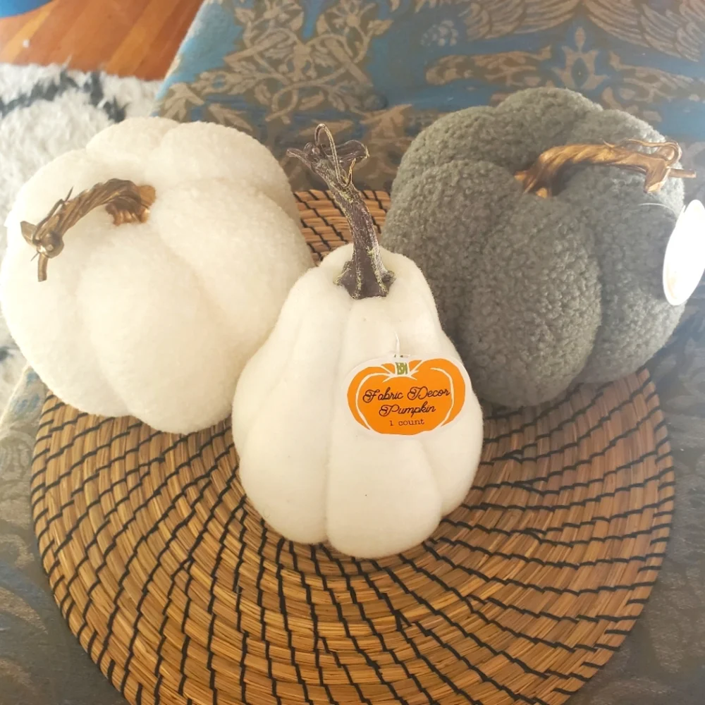 Welcome Fall Home Decor Bundle Felt Pumpkins Squash Autumn Harvest
